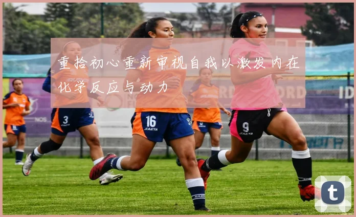 重拾初心重新审视自我以激发内在化学反应与动力