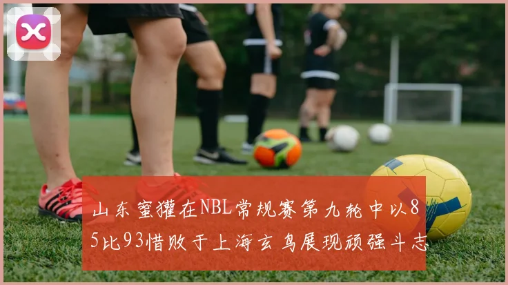 山东蜜獾在NBL常规赛第九轮中以85比93惜败于上海玄鸟展现顽强斗志