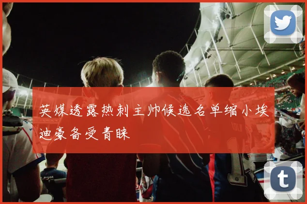 英媒透露热刺主帅候选名单缩小埃迪豪备受青睐