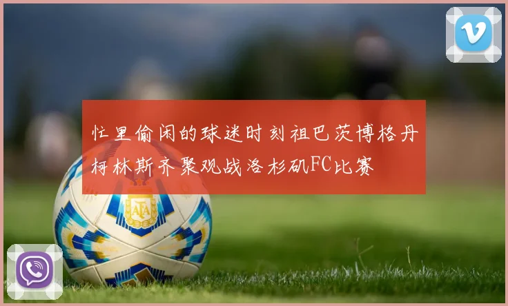忙里偷闲的球迷时刻祖巴茨博格丹柯林斯齐聚观战洛杉矶FC比赛